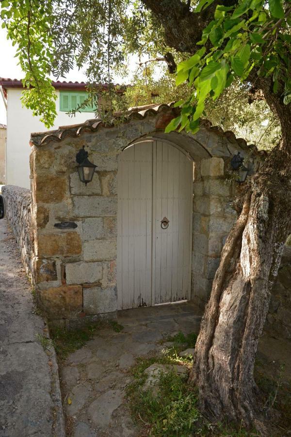 Mistra Estates Villa The Vine Pikouliánika Zewnętrze zdjęcie
