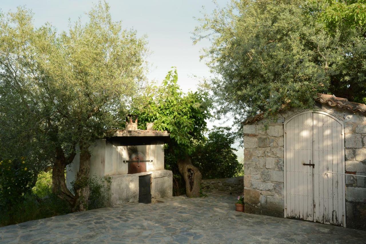 Mistra Estates Villa The Vine Pikouliánika Zewnętrze zdjęcie