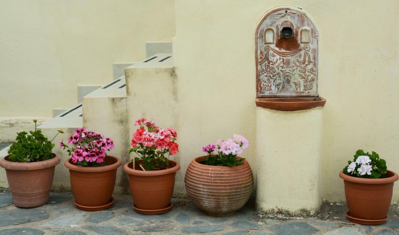 Mistra Estates Villa The Vine Pikouliánika Zewnętrze zdjęcie